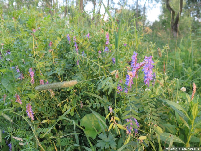 Феечки Sparkle-Seasters — Игровые мини (фото 2)