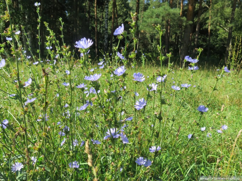 Новое платье и новые ручки для Дюймовочки Аским