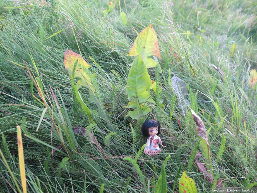 Не знаешь, кого брать - бери самых маленьких