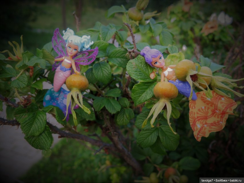 Феечки Sparkle-Seasters — Игровые мини