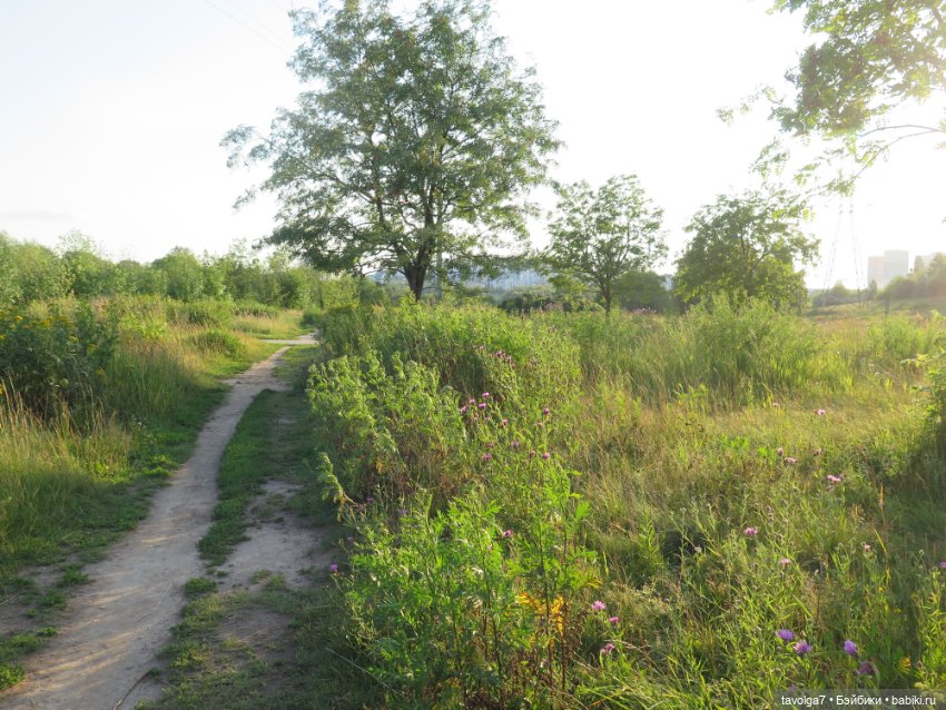 Не знаешь, кого брать - бери самых маленьких (фото 2)