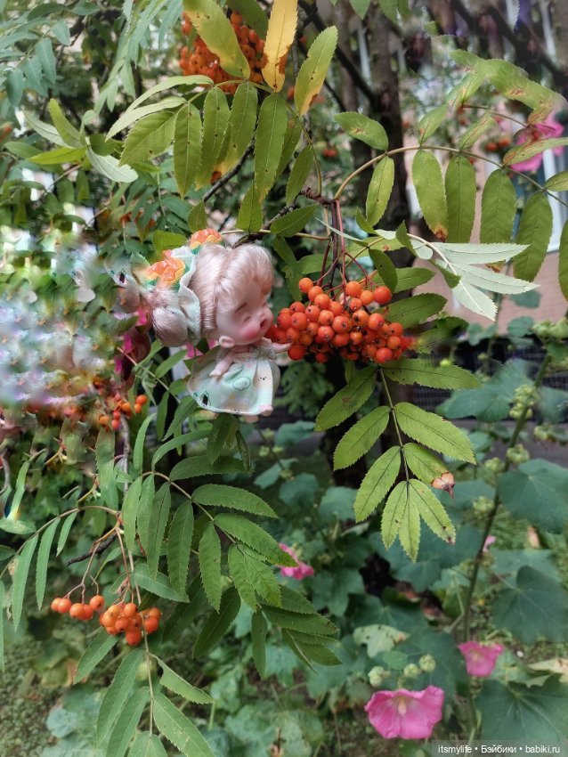 Маленькая феечка — Куклы Baboliy (Баболи (фото 5)