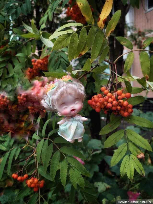 Маленькая феечка — Куклы Baboliy (Баболи (фото 4)