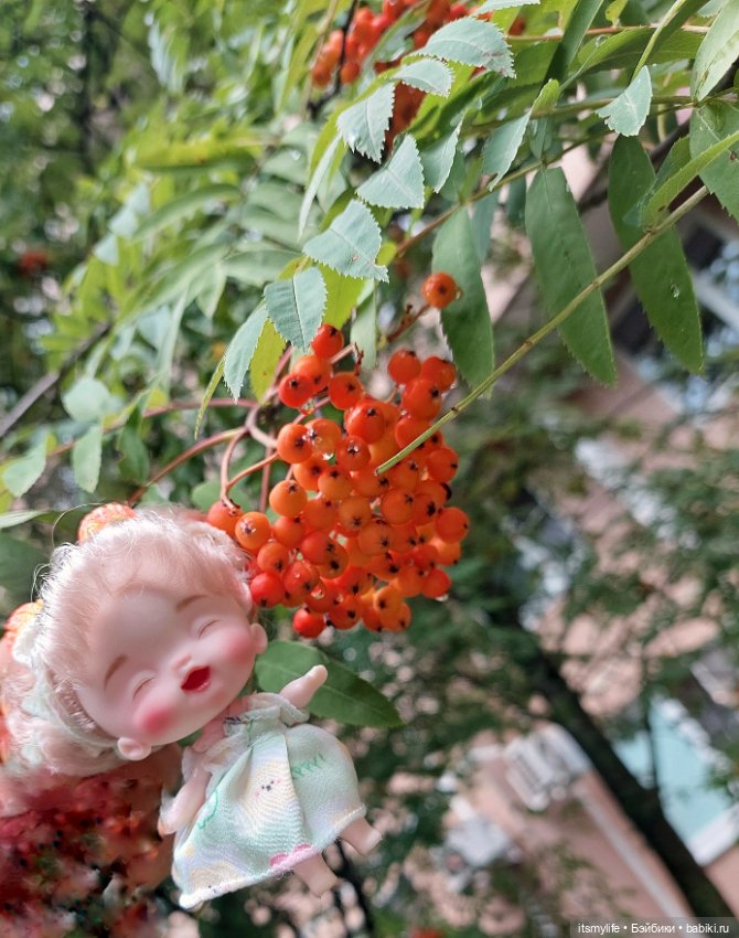 Маленькая феечка — Куклы Baboliy (Баболи (фото 3)