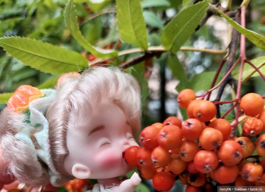 Маленькая феечка — Куклы Baboliy (Баболи (фото 9)