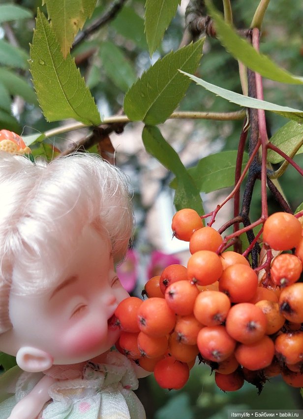 Маленькая феечка — Куклы Baboliy (Баболи (фото 8)