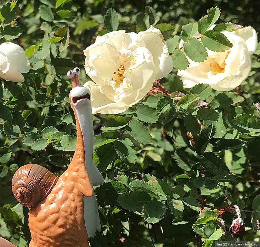 🐌 Gary, Mub and Grub — Коллекционные фигурки (разное): животные (фото 8)