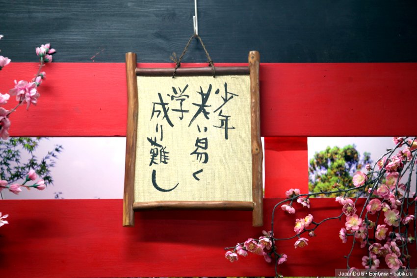 «Юность проходит быстро, а знания приобретаются трудно»