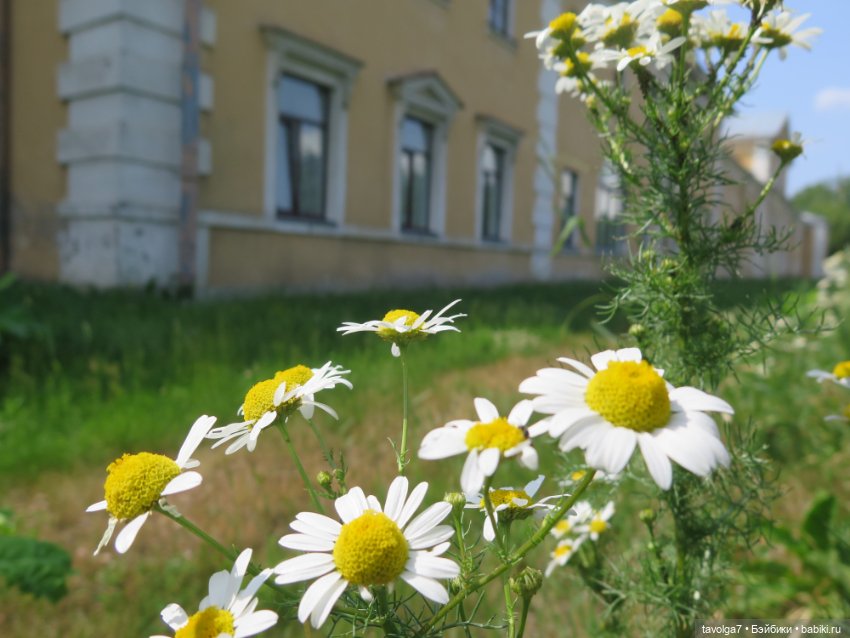 Triniti Dolls в Питере — Туризм и путешествия: фотоотчеты из поездок