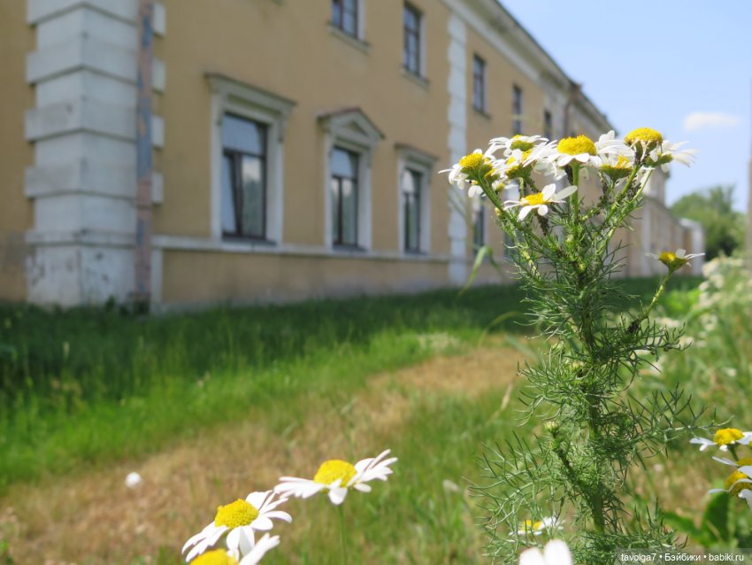 Triniti Dolls в Питере — Туризм и путешествия: фотоотчеты из поездок