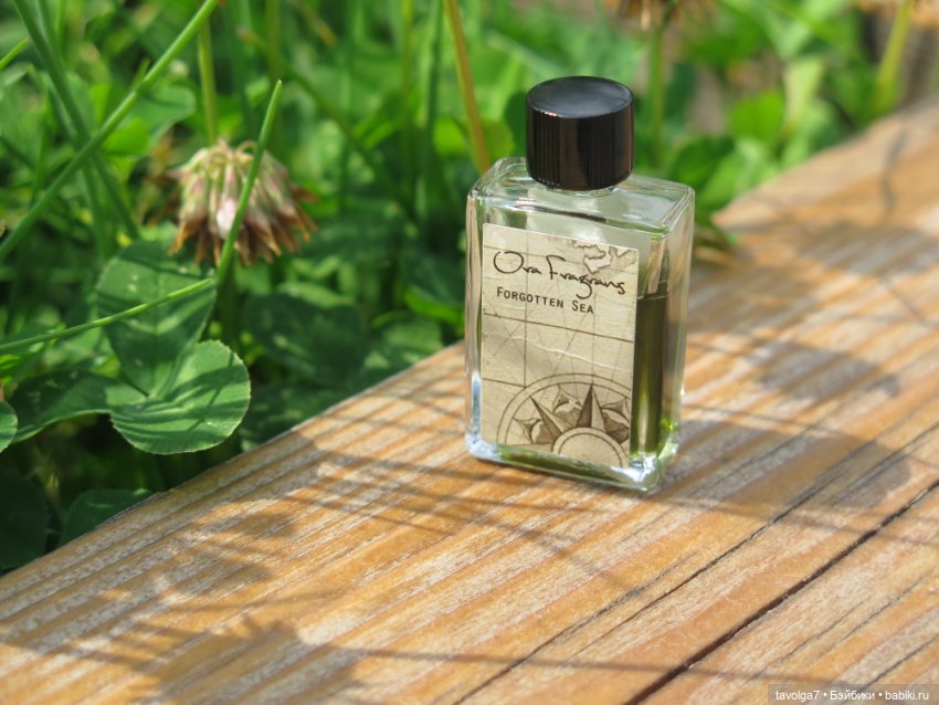 Triniti Dolls в Питере — Туризм и путешествия: фотоотчеты из поездок