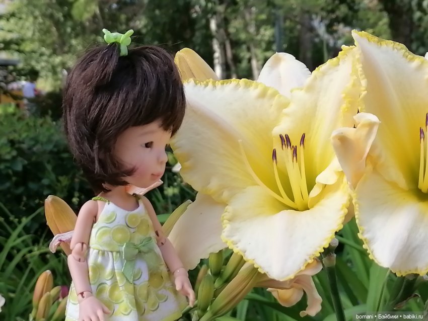 Куклы Tafidolls (Татьяна Филенко): российские BJD (БЖД)