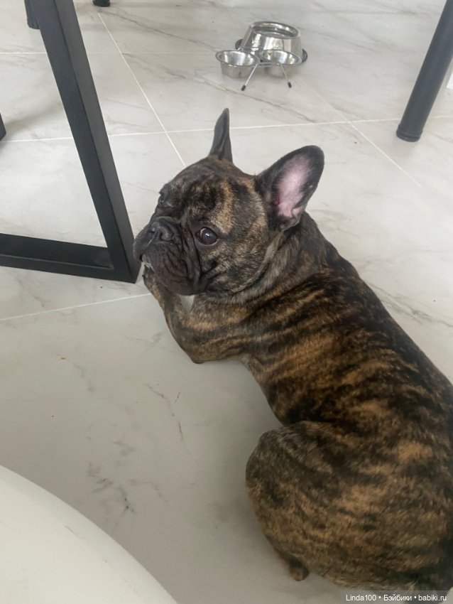 Моя Хитруля. Может есть способ вылечить ручку… (фото 4)