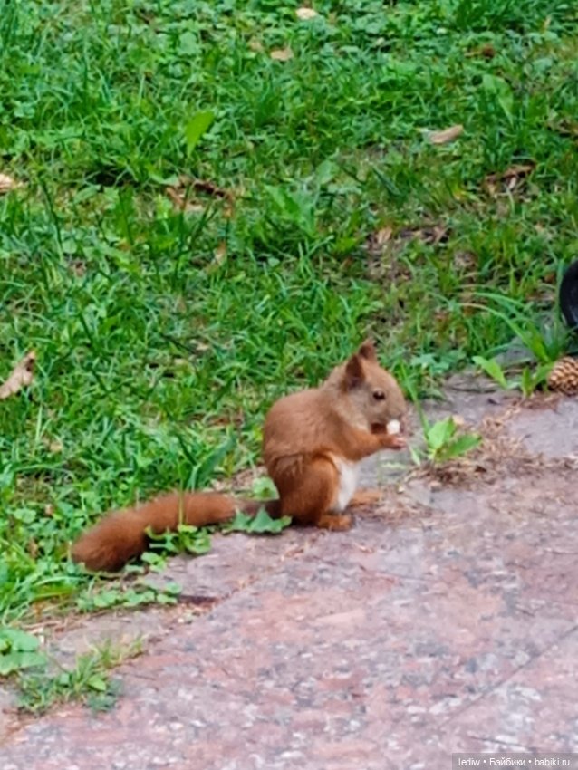 Новая жизнь старых кукол. "Нахалки"
