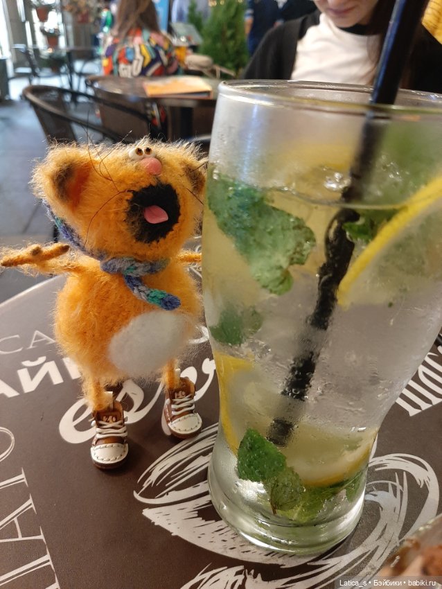 Ерошка поздравляет с Днем кошек🐱