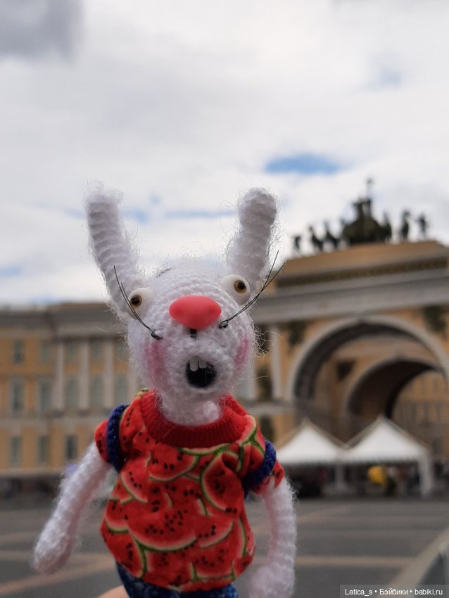 Ерошка поздравляет с Днем кошек🐱