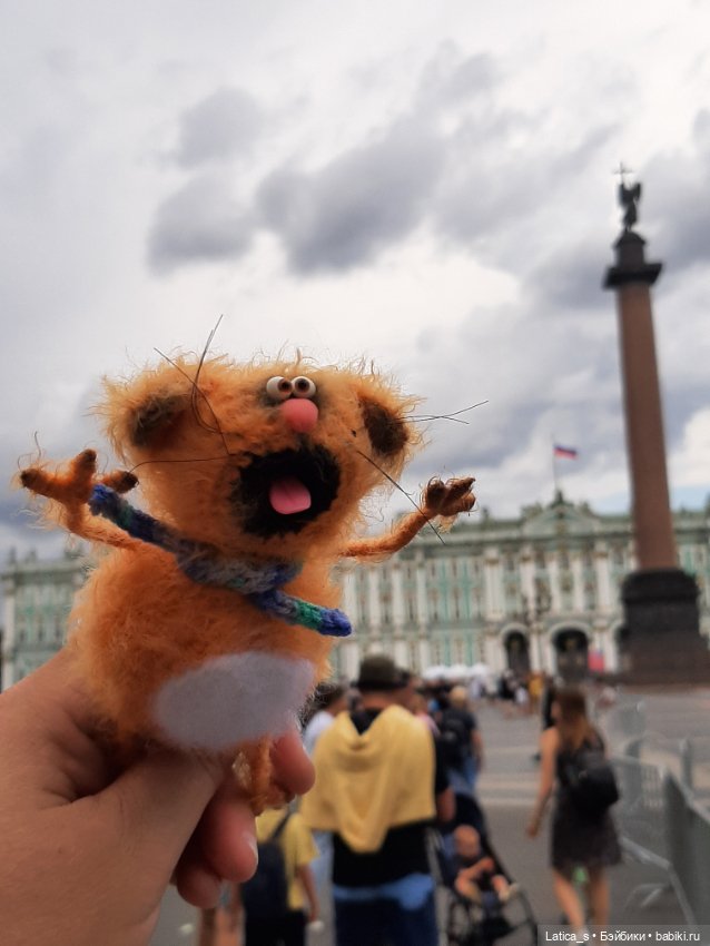 Ерошка поздравляет с Днем кошек🐱