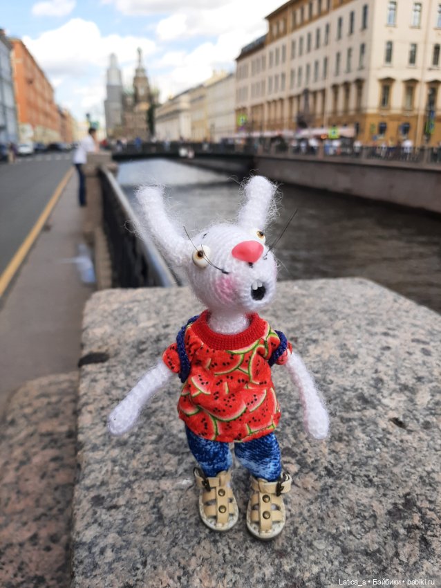 Ерошка поздравляет с Днем кошек🐱