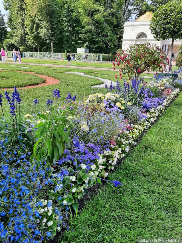 Ерошка поздравляет с Днем кошек🐱 (фото 9)