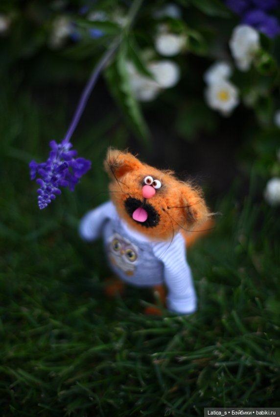 Ерошка поздравляет с Днем кошек🐱