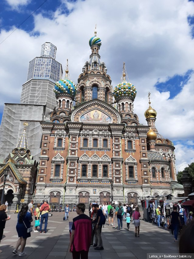 Ерошка поздравляет с Днем кошек🐱