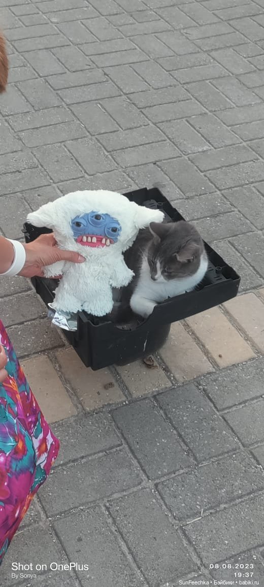 Fuggler дома не сидит — Интересные игрушки и фигурки (разное): редкие (фото 3)