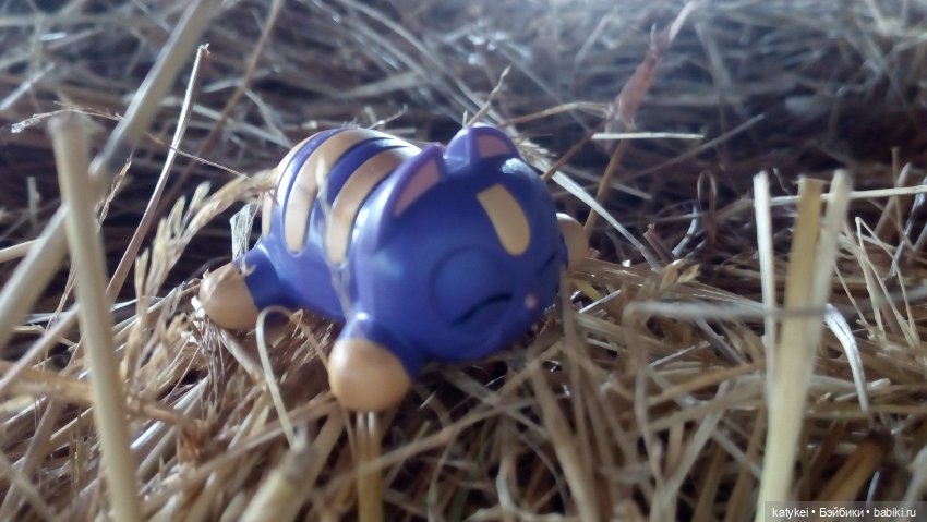 Котики бывают разные, зелёные, синие, красные