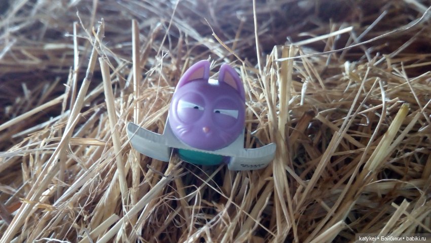 Котики бывают разные, зелёные, синие, красные