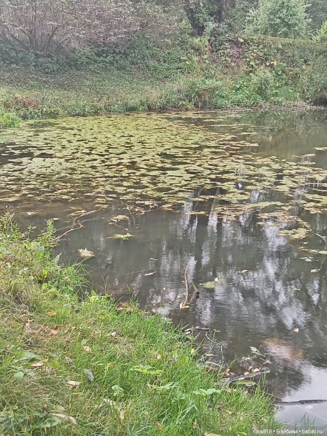 Прогулка в приусадебном парке