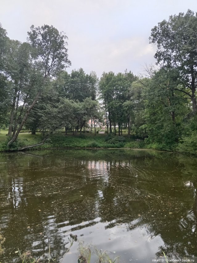 Прогулка в приусадебном парке (фото 3)