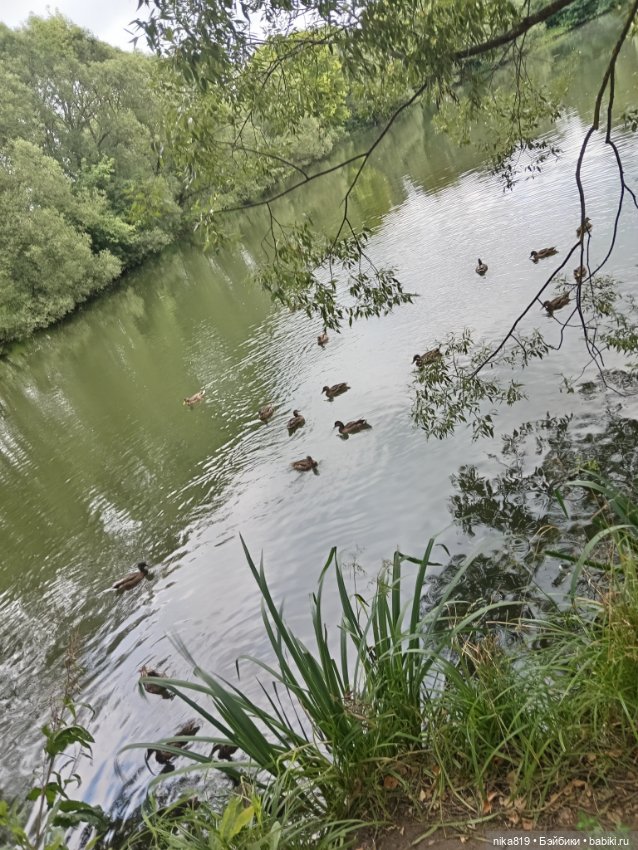 Прогулка в приусадебном парке