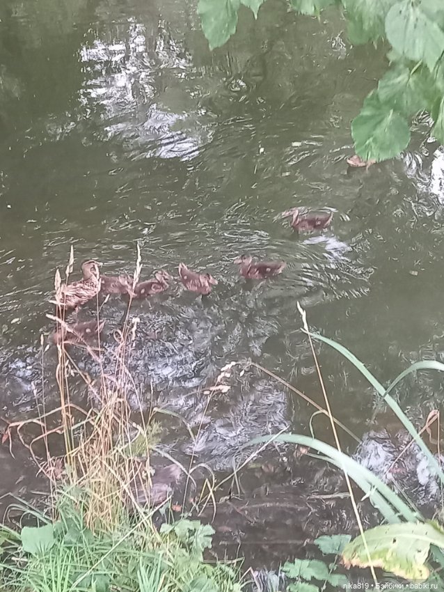 Прогулка в приусадебном парке