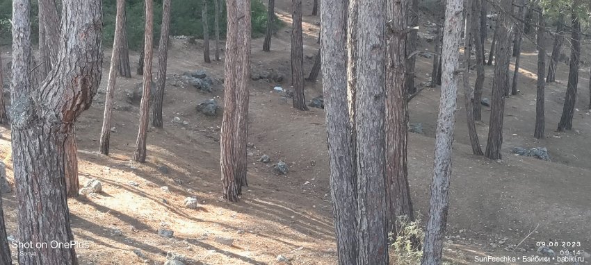 Мистер Бин покоряет горы — Куклы с Алиэкспресс (Aliexpress): Китайские шарнирные