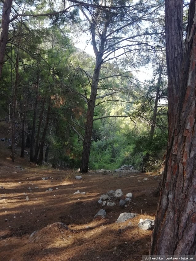 Мистер Бин покоряет горы — Куклы с Алиэкспресс (Aliexpress): Китайские шарнирные