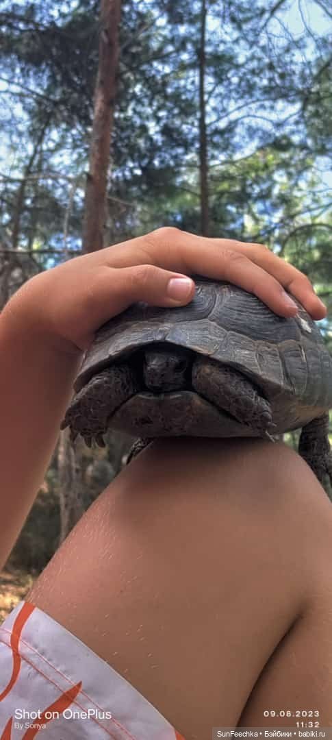 Мистер Бин покоряет горы — Куклы с Алиэкспресс (Aliexpress): Китайские шарнирные (фото 3)