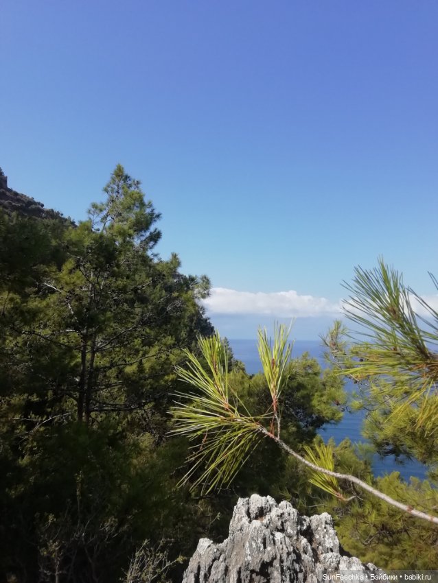 Мистер Бин покоряет горы — Куклы с Алиэкспресс (Aliexpress): Китайские шарнирные (фото 5)