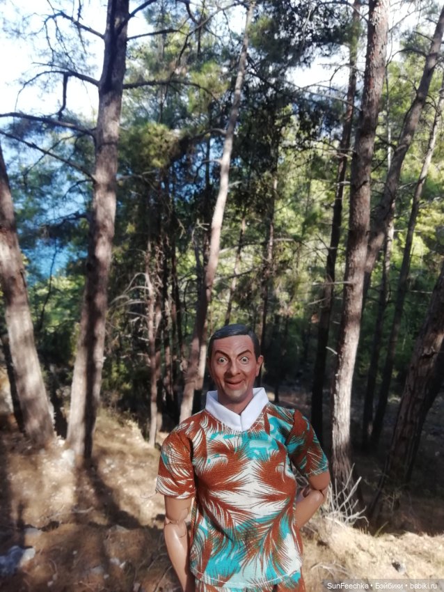 Мистер Бин покоряет горы — Куклы с Алиэкспресс (Aliexpress): Китайские шарнирные (фото 8)