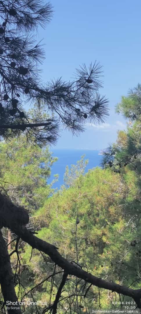 Мистер Бин покоряет горы — Куклы с Алиэкспресс (Aliexpress): Китайские шарнирные