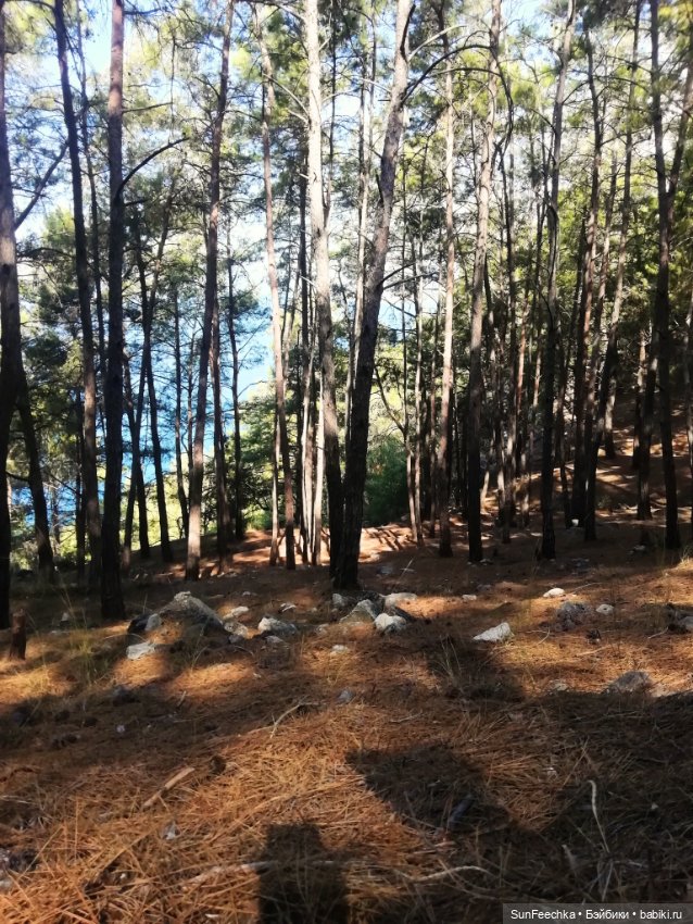 Мистер Бин покоряет горы — Куклы с Алиэкспресс (Aliexpress): Китайские шарнирные (фото 2)