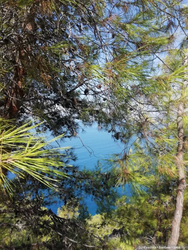 Мистер Бин покоряет горы — Куклы с Алиэкспресс (Aliexpress): Китайские шарнирные (фото 6)