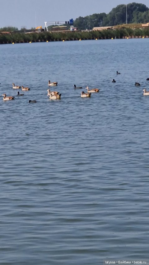 Larissa i Missy у залива. Юбилейный топик