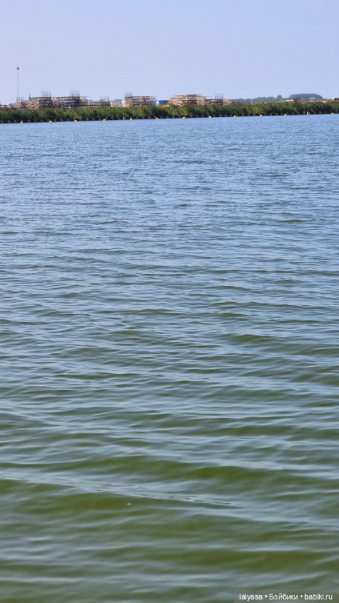 Larissa i Missy у залива. Юбилейный топик