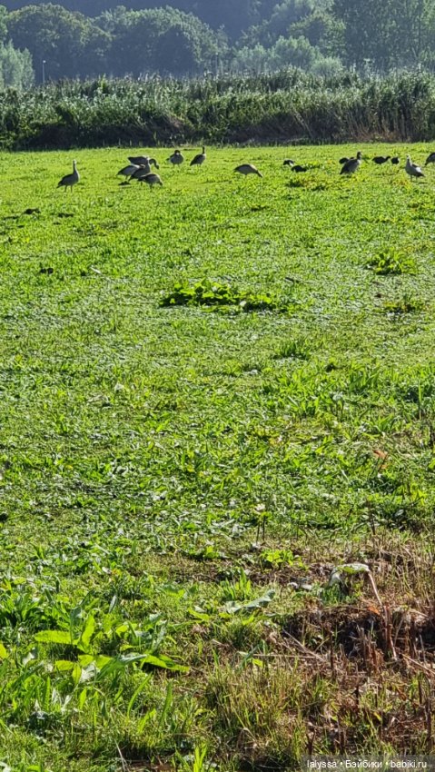 Larissa i Missy у залива. Юбилейный топик