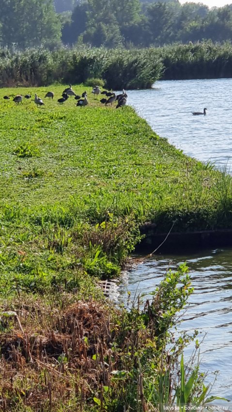 Larissa i Missy у залива. Юбилейный топик