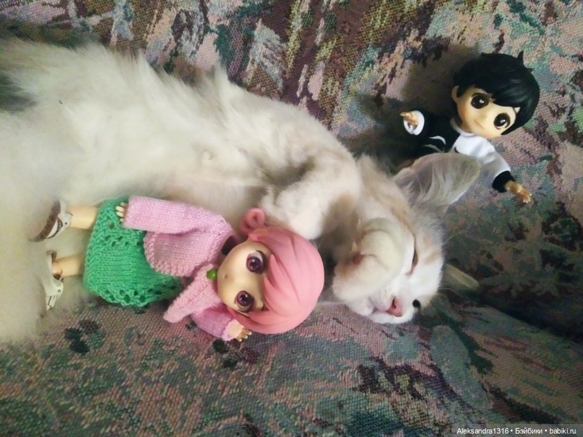 Маруся спит😉 — Аниме куклы (MJD/Винил): Imomo