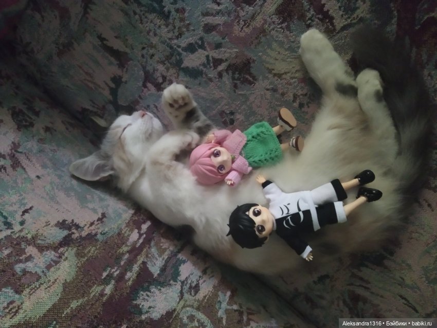 Маруся спит😉 — Аниме куклы (MJD/Винил): Imomo