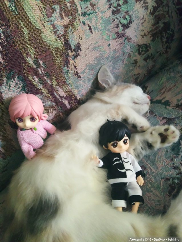 Маруся спит😉 — Аниме куклы (MJD/Винил): Imomo