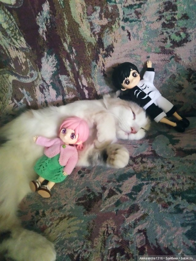 Маруся спит😉 — Аниме куклы (MJD/Винил): Imomo