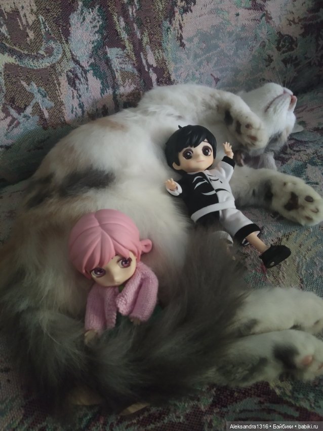 Маруся спит😉 — Аниме куклы (MJD/Винил): Imomo