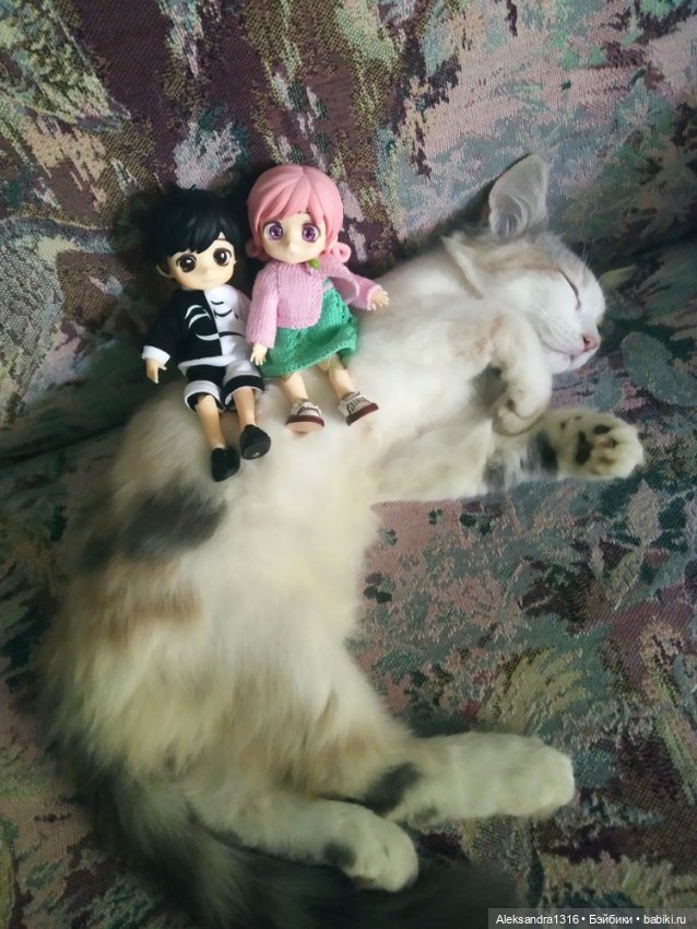 Маруся спит😉 — Аниме куклы (MJD/Винил): Imomo